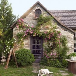 Будинки, котеджі, дачі